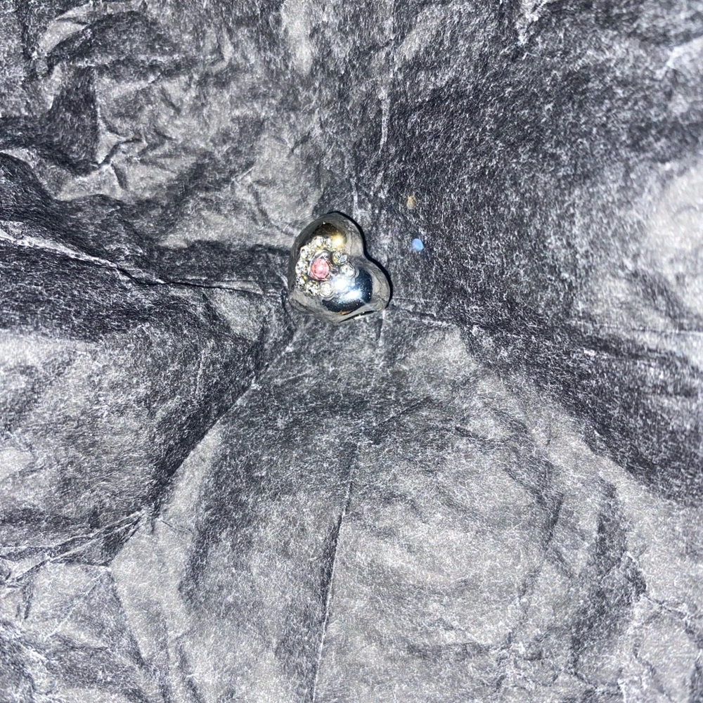 Charm fits pandora bracelet not an authentic pandora product